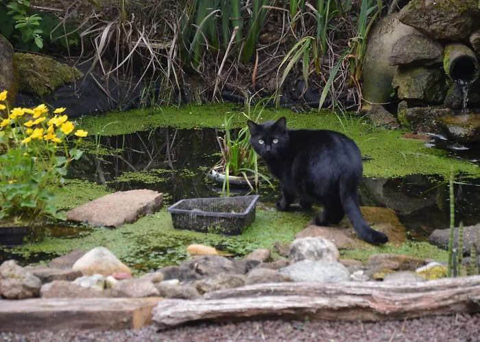 Dans Le Bocage Normand